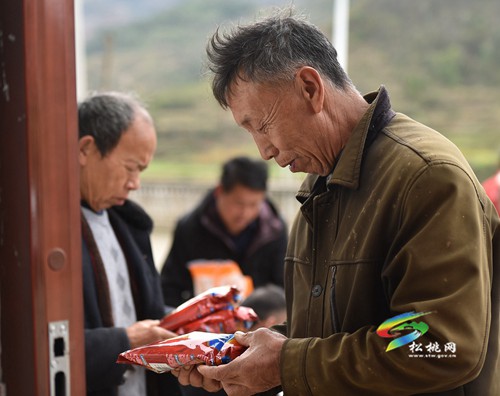 松桃:發(fā)放優(yōu)質(zhì)種子 助力春耕備耕