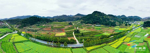 松桃：建好公路促振興