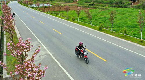 松桃：建好公路促振興