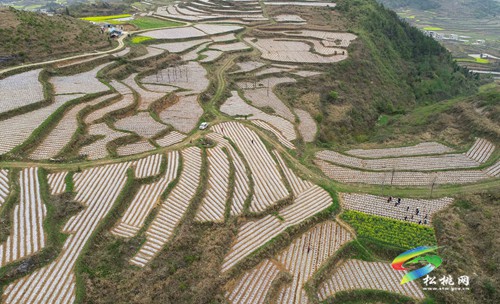 松桃：村美民富產(chǎn)業(yè)興