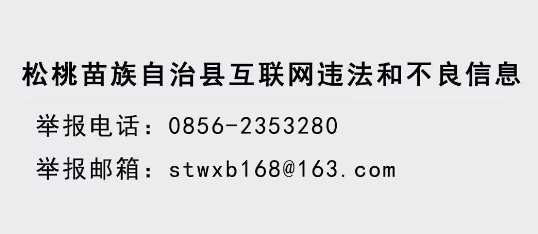 深圳市金輝盛紙品包裝公司來(lái)松桃投資考察