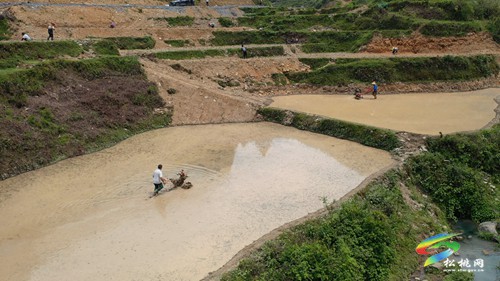 孟溪鎮(zhèn)：高標(biāo)準(zhǔn)農(nóng)田建設(shè)忙