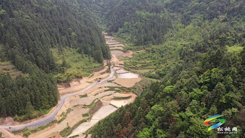 孟溪鎮(zhèn)：高標(biāo)準(zhǔn)農(nóng)田建設(shè)忙