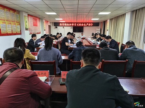 盤信鎮(zhèn)：黨建融入助力安全生產(chǎn)
