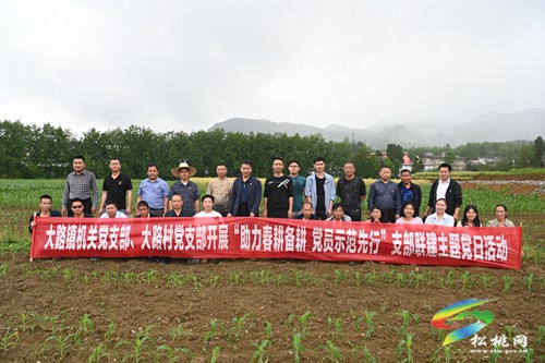 松桃大路鎮(zhèn)：支部聯(lián)建助農(nóng)忙