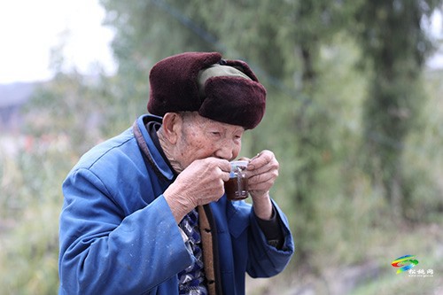 歲末年初有點暖