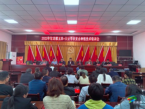 甘龍鎮(zhèn)：聚焦“四法”強(qiáng)培訓(xùn)，推進(jìn)鄉(xiāng)土人才隊(duì)伍建設(shè)