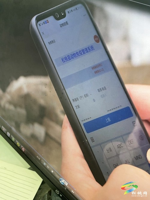 ?松桃：動物防疫模式改革 防疫質(zhì)量顯著提升