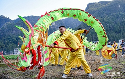 松桃：非遺滾龍鬧新春