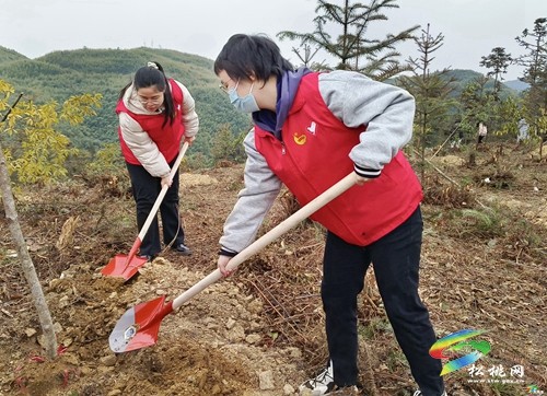 松桃：新年上班第一天 義務植樹添新綠