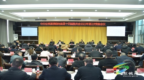 縣委2023年第2次常委會(huì)議召開(kāi)