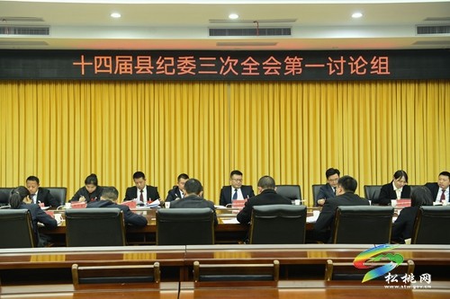 十四屆縣紀委三次全會進行分組討論