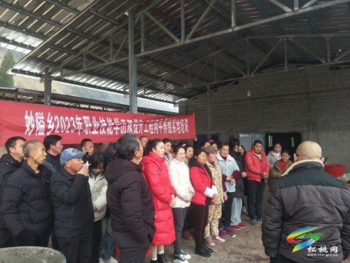 妙隘鄉(xiāng)開展職業(yè)技能學(xué)歷雙提升培訓(xùn)