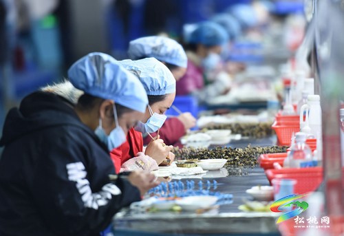 松桃：節(jié)后趕訂單企業(yè)生產(chǎn)忙