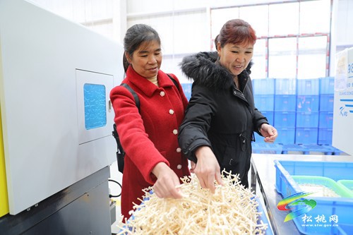 松桃重點產(chǎn)業(yè)項目“樂嘉”年后吸納新員工600人