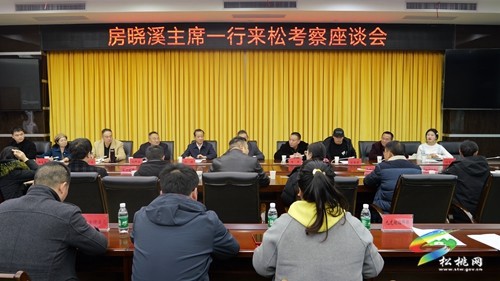 中國(guó)文化產(chǎn)業(yè)促進(jìn)會(huì)動(dòng)漫游戲文化委員會(huì)來(lái)松桃考察座談會(huì)召開