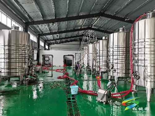 沙壩河鄉(xiāng)：40噸生態(tài)果酒即將上市