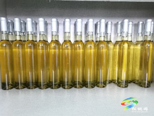 沙壩河鄉(xiāng)：40噸生態(tài)果酒即將上市