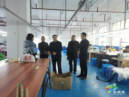 吳家永到企業(yè)開展安全生產(chǎn)督導檢查