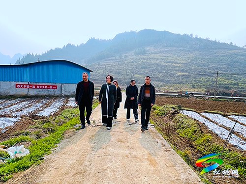 石小莉到寨英鎮(zhèn)、正大鎮(zhèn)開展春耕生產(chǎn)、教育教學(xué)工作調(diào)研
