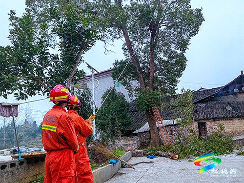 松桃消防為民砍樹(shù)排除安全隱患