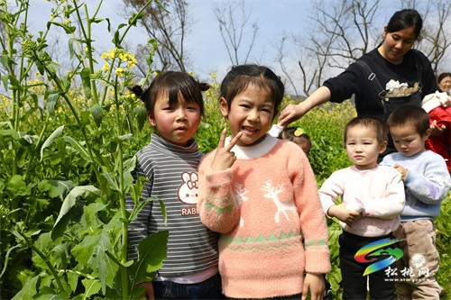 【奮進的春天】春回大地 油菜花“金”艷綻放