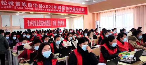 松桃：精準發(fā)力出實招 就業(yè)增收助振興