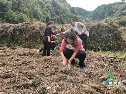 唐文婭：當(dāng)好“指揮官” 辦好民生事