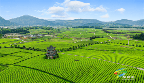 普覺鎮(zhèn)：“四強四化”做大強村富民公司助力鄉(xiāng)村振興