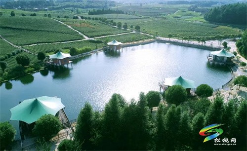 普覺鎮(zhèn)：“四強四化”做大強村富民公司助力鄉(xiāng)村振興