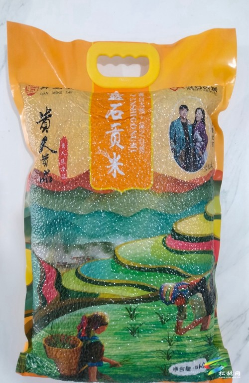 盤石鎮(zhèn)：創(chuàng)新“一一三三”工作模式推動(dòng)強(qiáng)村富民公司實(shí)體化運(yùn)行