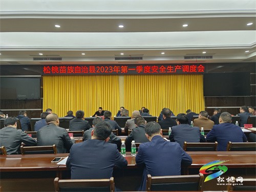 松桃召開2023年第一季度安全生產(chǎn)調(diào)度會議