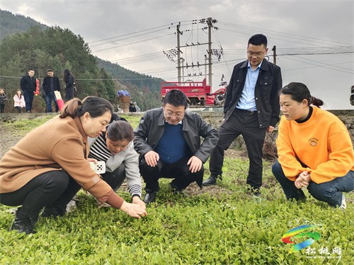 縣委編辦：助力春耕備耕，黨員示范先行