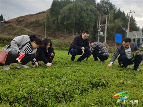 縣委編辦：助力春耕備耕，黨員示范先行