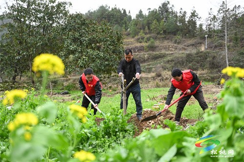 盤信鎮(zhèn)開展2023年“我為家鄉(xiāng)捐棵樹·同心共建春暉林”植樹活動