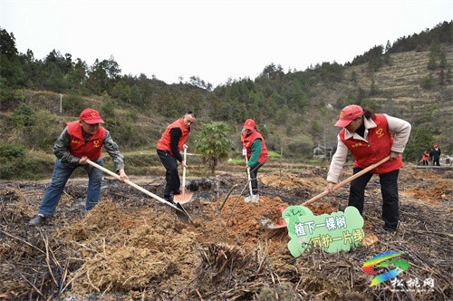 盤信鎮(zhèn)開展2023年“我為家鄉(xiāng)捐棵樹·同心共建春暉林”植樹活動