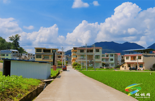 大路鎮(zhèn)：黨建引領(lǐng)鄉(xiāng)村振興駛?cè)搿翱燔?chē)道”