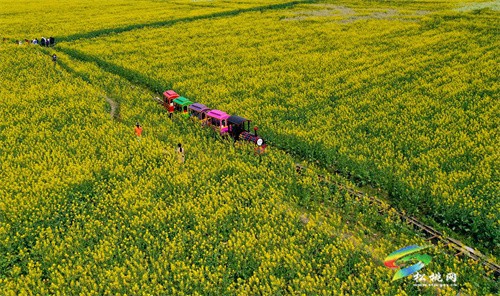 【多彩貴州?花漾中國】松桃：“農(nóng)旅一體”助振興