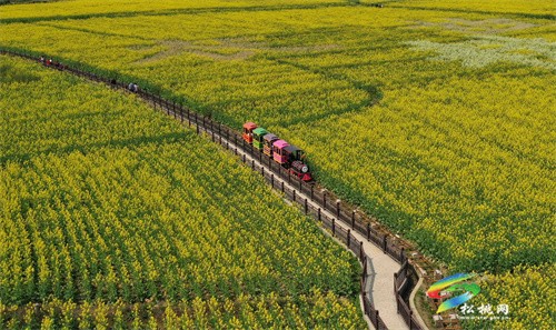 【多彩貴州?花漾中國】松桃：“農(nóng)旅一體”助振興