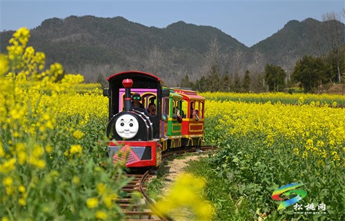 【多彩貴州?花漾中國】松桃：“農(nóng)旅一體”助振興