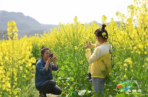 【多彩貴州?花漾中國】松桃：“農(nóng)旅一體”助振興