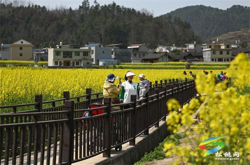 【多彩貴州?花漾中國】松桃：“農(nóng)旅一體”助振興