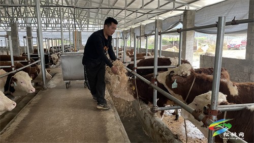 松桃：“貸”動農民發(fā)展走實鄉(xiāng)村振興路