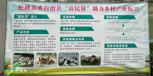 松桃：“貸”動農民發(fā)展走實鄉(xiāng)村振興路