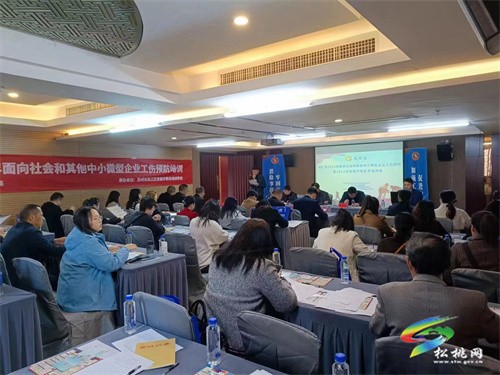 松桃開展2023年營商環(huán)境業(yè)務培訓會