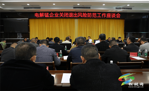 黃愛民到松桃調(diào)研電解錳企業(yè)關(guān)閉退出工作座談會(huì)召開
