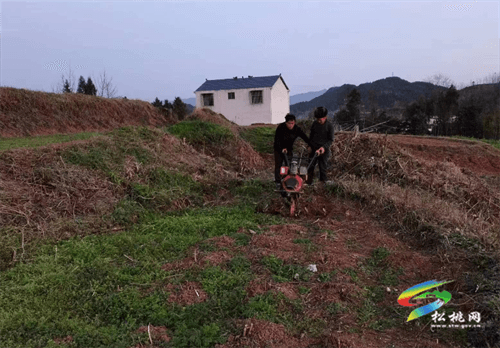蓼皋街道：“四個早”全力抓好春耕備耕