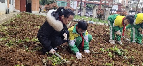 松桃：打造百草園  新增風(fēng)景線