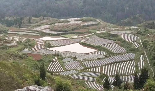 世昌街道：黨建“重錘”敲響春耕“戰(zhàn)鼓”
