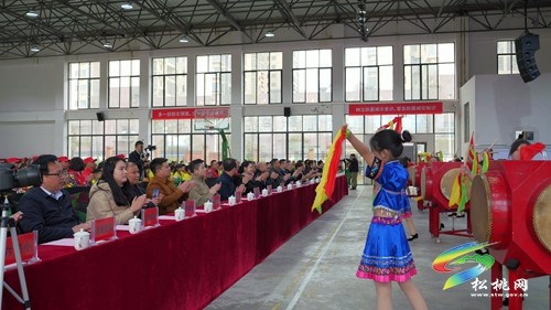 全省“地震科普·攜手同行”主題活動(dòng)啟動(dòng)儀式在松舉行